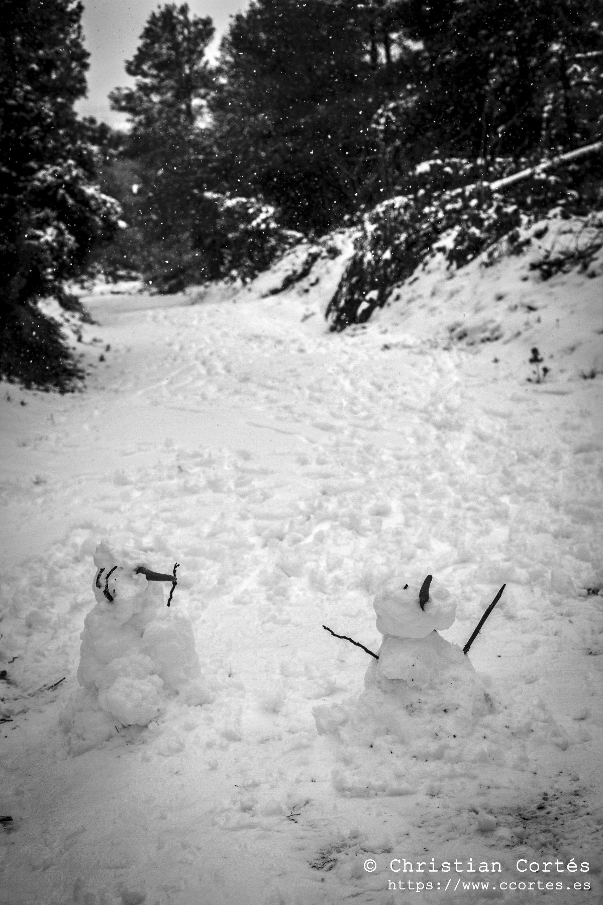 Nieve en Alicante 12